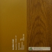 uPVC windows and doors golden oak